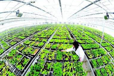 Induction Heating Steam Generator