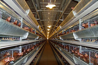 Induction Heating Steam Generator