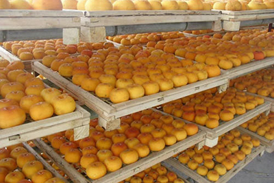 Induction Heating Steam Generator