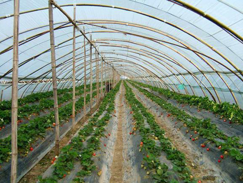 Induction Heating Hot Air Generator