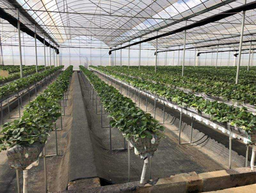 Induction Heating Hot Air Generator