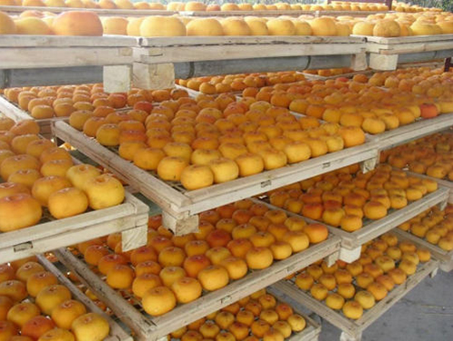 Induction Heating Hot Air Generator